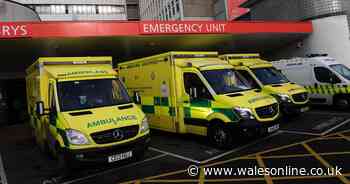 Surge in flu cases over Christmas period left Welsh Ambulance Service struggling to cope