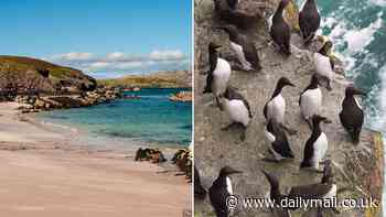 Fed up with the rat race? Earn £25k managing a remote Scottish island...house included