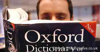 Video game terminology and Dutch word added to Oxford English Dictionary