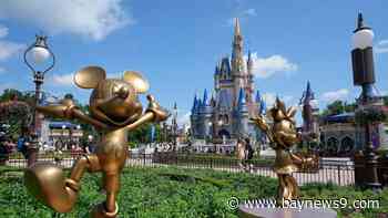 Walt Disney World offers 4-day Discover Disney Ticket deal to Florida residents