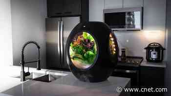 Grow Your Next Salad Using Fog, With This Indoor Smart Garden