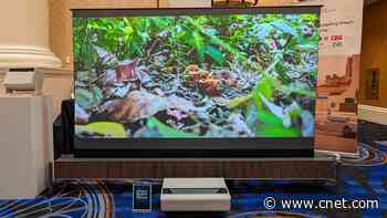 Finally, A Roll-Up Projector Screen of Your Budget TV Dreams