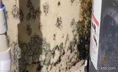 Proposed bill protects renters, targets mold problems