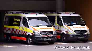 East Arnhem crash: Four killed after stolen car collides with an SUV in the Northern Territory