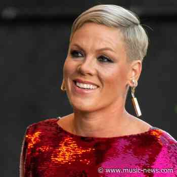 Pink celebrates 19 years of marriage to Carey Hart: 'You have loved me, hated me, and loved me again'