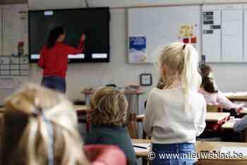 Vind de juiste school in Willebroek tijdens infomarkt ‘Kies jouw school’