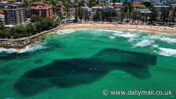 Why this ominous shadow shut down a packed beach in Sydney