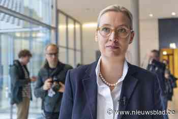 Een vrouw vol paradoxen: dit is Alice Weidel, de AfD-kopvrouw van wie Elon Musk fan is