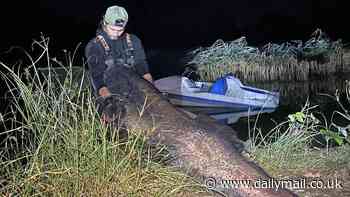 What a cat-ch! Eight-foot fish weighing a whopping 150lbs reeled in by husband-wife duo... and it's likely to beat the UK record