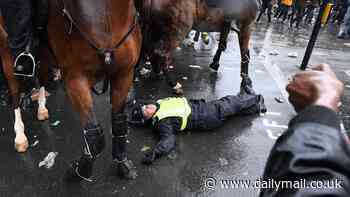 Police officer, 47, who was left with horror injuries after being thrown to the ground when her horse bolted during a protest is suing the Met for £200,000 