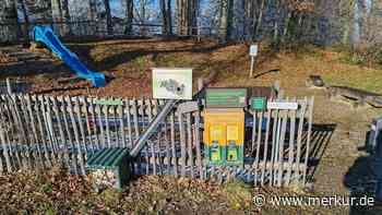 Wer hat etwas mitbekommen? Automat am Mindelheimer Wildbienenlehrpfad beschädigt