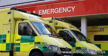 'Go to A&E alone' alert as people wait 50 hours in critical incidents