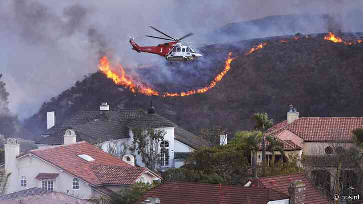 Natuurbrand teistert wijk Los Angeles, meerdere huizen in brand