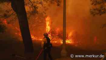 Feuer greift Los Angeles an – chaotische Szenen und Notstand: „Es ist schlimm, es ist wie ein Inferno“