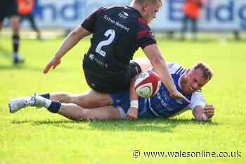 New Welsh rugby team formed by WRU to help find players who slipped through cracks