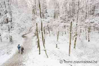 Zeven adembenemende tochten tussen de winterse pracht in de Ardennen