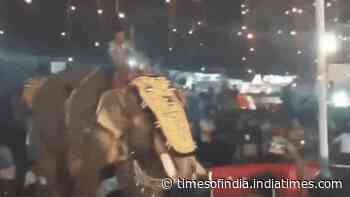 Watch: Elephant turns violent during temple event in Malappuram, swings man in air with trunk