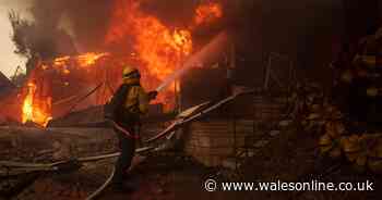 Los Angeles wildfires see 30,000 evacuated as people flee on foot