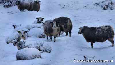 Sneeuw op komst in Limburg