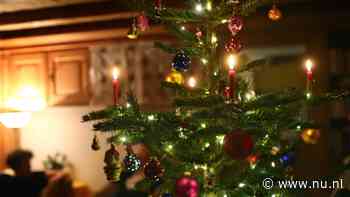 Gent past advies om kerstboom op te eten aan na kritiek van voedselagentschap