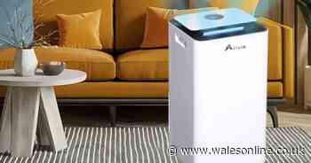 Debenhams slashes 72% off dehumidifier that 'removes so much water'