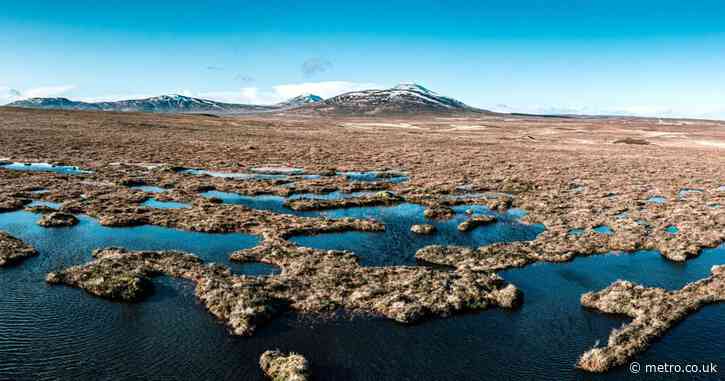 ‘Middle of nowhere’ Ice Age bog is an unexpected must-visit for 2025