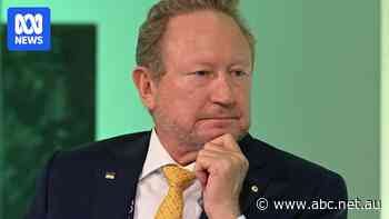 Andrew Forrest charity named in ExxonMobil defamation lawsuit