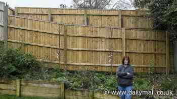 Our neighbour ruined our property after putting up a huge spiked 'privacy' fence - it's like we're prisoners in Colditz Castle