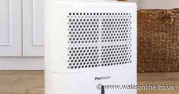 Debenhams cut 46% off 'quiet' 5p per hour dehumidifier that 'clears out mould'