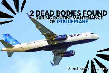 Shocking! Two Dead Bodies Found on JetBlue Flight