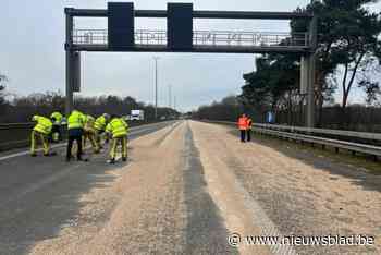 E313 richting Antwerpen opnieuw vrij nadat vrachtwagen lading houtpellets had verloren