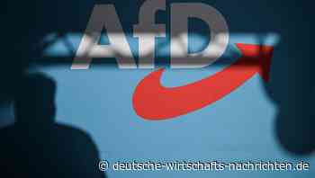 Wahlumfragen: AfD legt kräftig zu