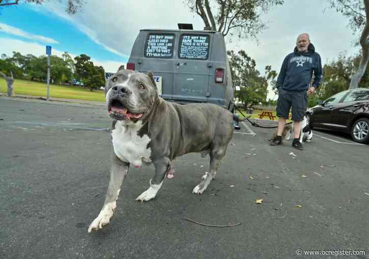 His dog is dying. More than 100 strangers came to say goodbye.