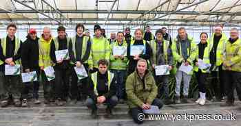 Firm near York completes plant identification training programme