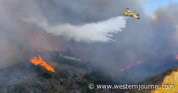 Watch: Pilot of Fire Tanker Floods Mountainside Hotspot with Absolutely Perfect Drop