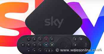 How to save £120 off your Sky TV bill with new year deal