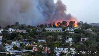 Pacific Palisades fire is destroying hot spots Paris Hilton and Rihanna have flocked to