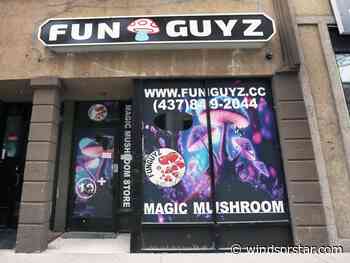 Windsor police raid downtown magic mushroom store for fifth time