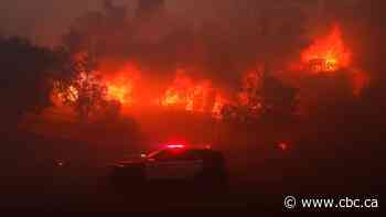 Quebec water bombers assist with wildfires in Los Angeles area