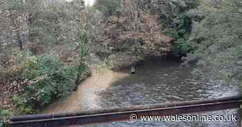 Developer fined for polluting Welsh river after being reported by anglers