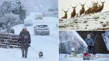 Scotland braced for coldest night of the winter as the big chill continues with schools shut and chaos on roads