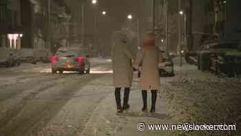 Sneeuwbeeld: witte deken over Zuid-Nederland