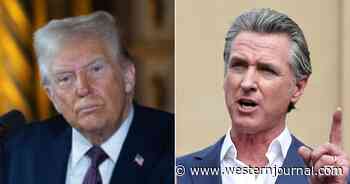 Trump Says Gavin Newsom's Attempt to Protect an 'Essentially Worthless Fish' Caused Fire Disaster