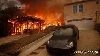 'It's terrifying': Montreal filmmaker describes wildfire chaos in Los Angeles