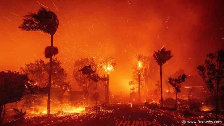 'Dramatic and apocalyptic': LA fire captain details obstacles allowing wildfires to ravage the city