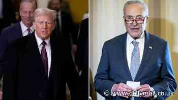 Chuck Schumer concedes that Trump will have Democrat backing on controversial plan... with one condition