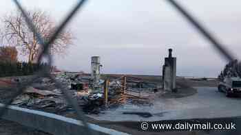 Photos show Hunter Biden's Malibu home burned to the ground by LA fire