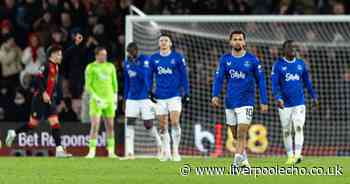 Bournemouth taunts ring true for Everton supporters as Friedkin Group sent fresh plea