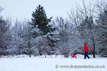 Met Office hour by hour weather forecast as Merseyside hit with six days of weather warnings