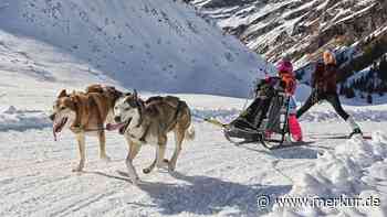 Schlittenhunde-Weltcup kehrt nach Bad Hindelang zurück